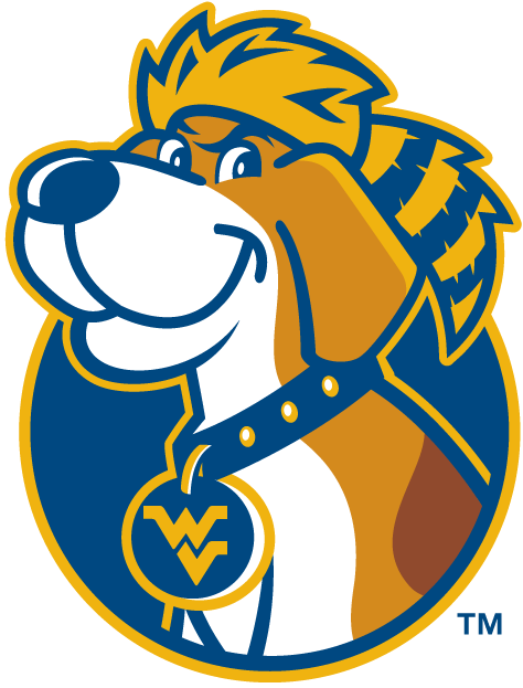 West Virginia Mountaineers 2002-Pres Misc Logo diy iron on heat transfer